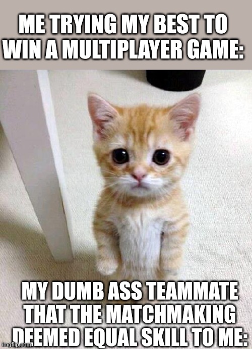 Come on! | ME TRYING MY BEST TO WIN A MULTIPLAYER GAME:; MY DUMB ASS TEAMMATE THAT THE MATCHMAKING DEEMED EQUAL SKILL TO ME: | image tagged in memes,cute cat,shooter | made w/ Imgflip meme maker