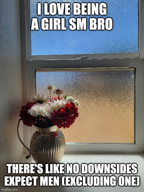 I LOVE BEING A GIRL SM BRO; THERE'S LIKE NO DOWNSIDES EXPECT MEN (EXCLUDING ONE) | made w/ Imgflip meme maker