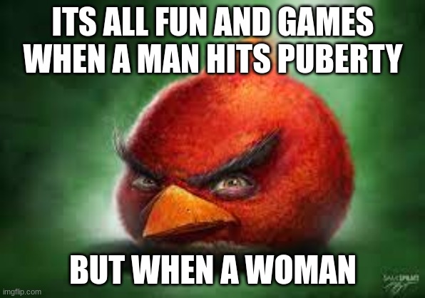 :sob: | ITS ALL FUN AND GAMES WHEN A MAN HITS PUBERTY; BUT WHEN A WOMAN | image tagged in realistic red angry birds | made w/ Imgflip meme maker
