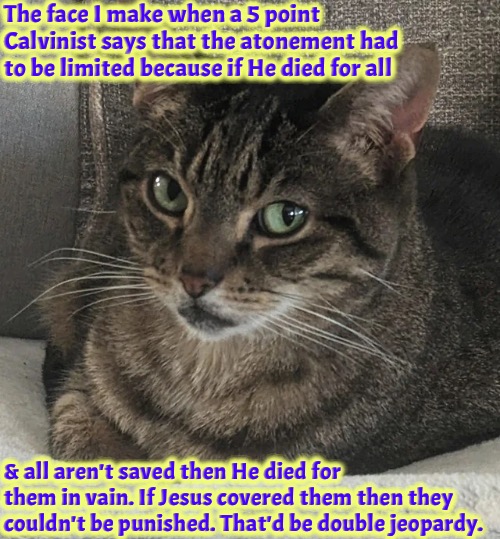 I Don't Get Why They Think This | The face I make when a 5 point Calvinist says that the atonement had to be limited because if He died for all; & all aren't saved then He died for them in vain. If Jesus covered them then they couldn't be punished. That'd be double jeopardy. | image tagged in calvinism,arminian,molinism,god's judicial system is wiser than man's,limited atonement,a provision keeps them without excuse | made w/ Imgflip meme maker