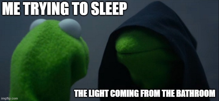 Evil Kermit Meme | ME TRYING TO SLEEP; THE LIGHT COMING FROM THE BATHROOM | image tagged in memes,evil kermit | made w/ Imgflip meme maker