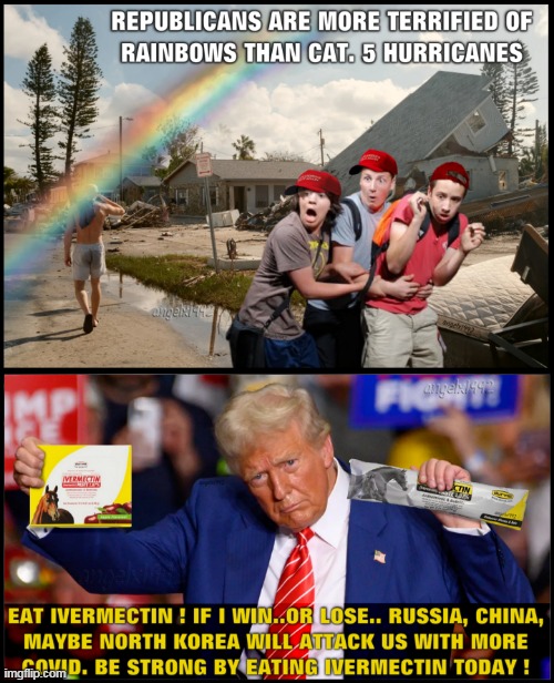 paranoid creepy republicans | image tagged in covid-19,donald trump is an idiot,clown car republicans,covid,donald trump the clown,rainbows | made w/ Imgflip meme maker