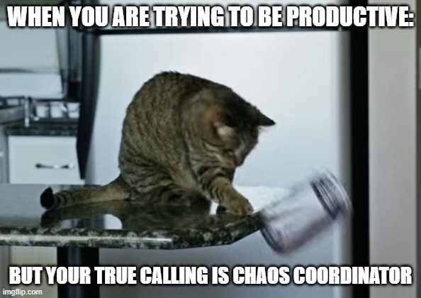 My cat everyday: | WHEN YOU ARE TRYING TO BE PRODUCTIVE:; BUT YOUR TRUE CALLING IS CHAOS COORDINATOR | image tagged in cat pushing thing off counter | made w/ Imgflip meme maker