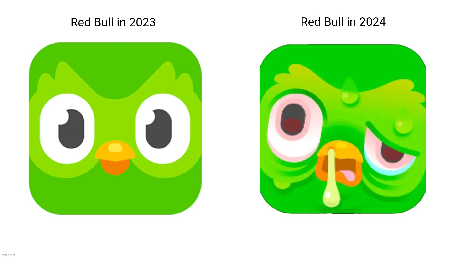 Red Bull in 2023; Red Bull in 2024 | image tagged in duolingo bird,formula 1,red bull,2023,2024 | made w/ Imgflip meme maker