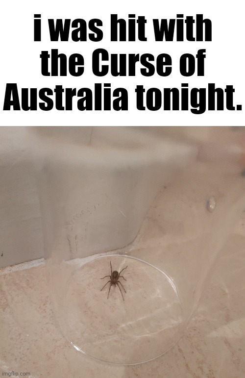 i was hit with the Curse of Australia tonight. | made w/ Imgflip meme maker
