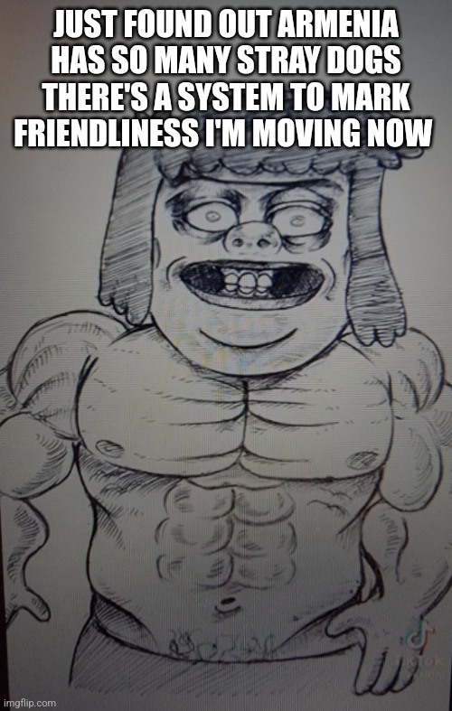You know who else is hard | JUST FOUND OUT ARMENIA HAS SO MANY STRAY DOGS THERE'S A SYSTEM TO MARK FRIENDLINESS I'M MOVING NOW | image tagged in you know who else is hard | made w/ Imgflip meme maker