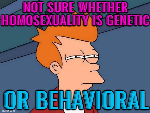 Not Sure Whether Homosexuality Is Genetic Or Behavioral | NOT SURE WHETHER HOMOSEXUALITY IS GENETIC; OR BEHAVIORAL | image tagged in not sure if- fry,lgbtq,gay pride,gay rights,homosexuality,genetics | made w/ Imgflip meme maker