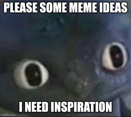 please | PLEASE SOME MEME IDEAS; I NEED INSPIRATION | image tagged in toothless _ face | made w/ Imgflip meme maker