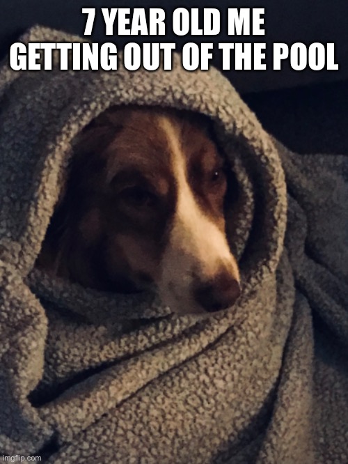 Dowg | 7 YEAR OLD ME GETTING OUT OF THE POOL | image tagged in dogs | made w/ Imgflip meme maker