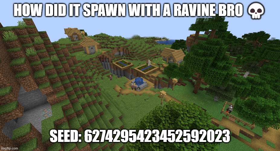 HOW DID IT SPAWN WITH A RAVINE BRO 💀; SEED: 6274295423452592023 | made w/ Imgflip meme maker