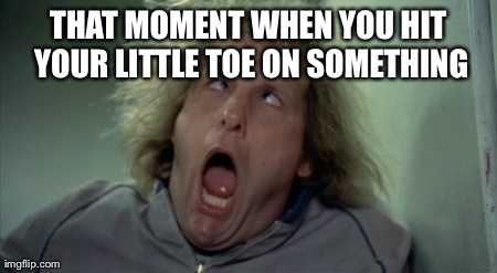 Scary Harry Meme | THAT MOMENT WHEN YOU HIT YOUR LITTLE TOE ON SOMETHING | image tagged in memes,scary harry | made w/ Imgflip meme maker