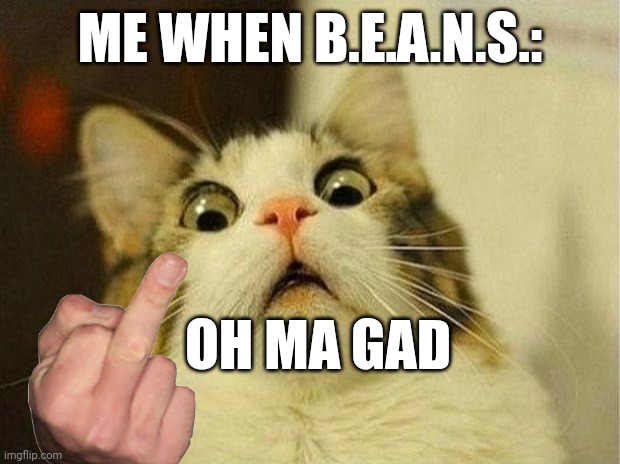 Cat loke | ME WHEN B.E.A.N.S.:; OH MA GAD | image tagged in memes,scared cat | made w/ Imgflip meme maker