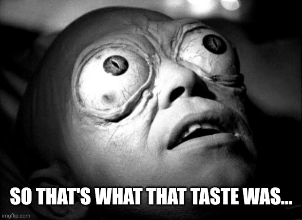 Outer Limits Mutant | SO THAT'S WHAT THAT TASTE WAS... | image tagged in outer limits mutant | made w/ Imgflip meme maker