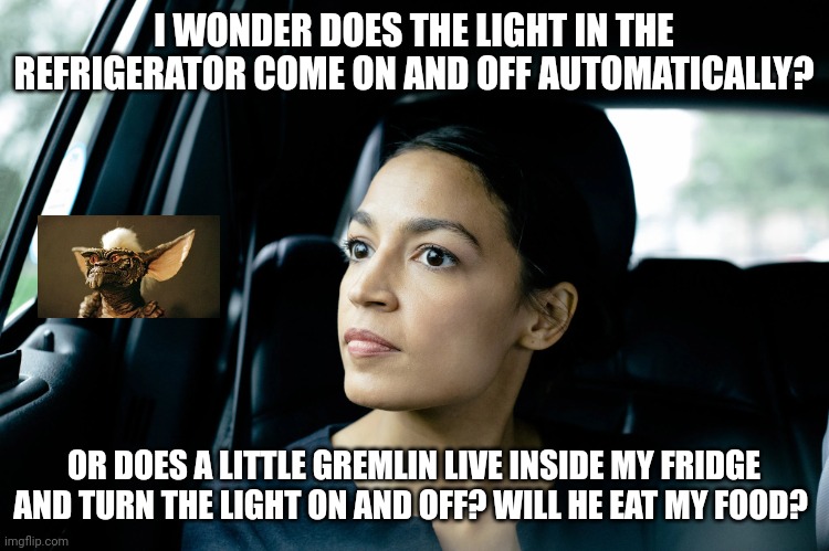 Light in the fridge | I WONDER DOES THE LIGHT IN THE REFRIGERATOR COME ON AND OFF AUTOMATICALLY? OR DOES A LITTLE GREMLIN LIVE INSIDE MY FRIDGE AND TURN THE LIGHT ON AND OFF? WILL HE EAT MY FOOD? | image tagged in alexandria ocasio-cortez | made w/ Imgflip meme maker