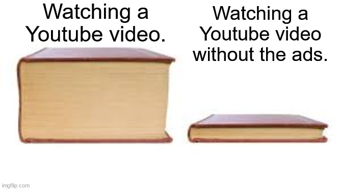 Fr the ads are way too common nowadays | Watching a Youtube video. Watching a Youtube video without the ads. | image tagged in big book small book,youtube,ads | made w/ Imgflip meme maker