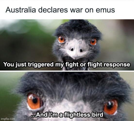 Yeah, the Emu War was stupid | image tagged in memes,history,history memes,repost | made w/ Imgflip meme maker