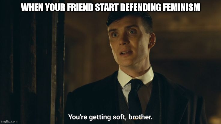 you're getting soft brother | WHEN YOUR FRIEND START DEFENDING FEMINISM | image tagged in you're getting soft | made w/ Imgflip meme maker