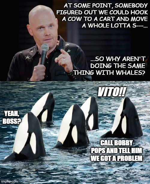 valid question or whale mafia or something... idk | AT SOME POINT, SOMEBODY
FIGURED OUT WE COULD HOOK
A COW TO A CART AND MOVE
A WHOLE LOTTA S---... ...SO WHY AREN'T DOING THE SAME THING WITH WHALES? VITO!! YEAH, BOSS? CALL BOBBY POPS AND TELL HIM WE GOT A PROBLEM | image tagged in bill burr i'm just sayin,avenging orcas,that's how mafia works | made w/ Imgflip meme maker