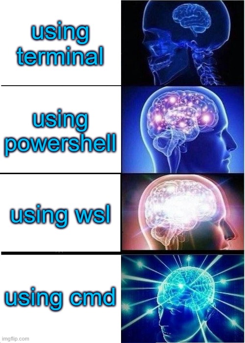 terminal keeps setting itself to default so its now lower ranking | using terminal; using powershell; using wsl; using cmd | image tagged in memes,expanding brain,computers,windows | made w/ Imgflip meme maker