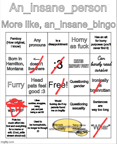 image tagged in an_insane_bingo slight update | made w/ Imgflip meme maker