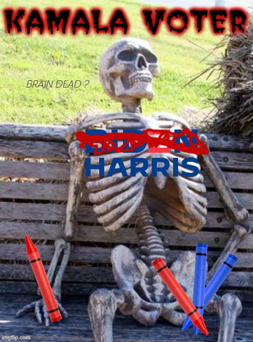 THE VOTING DEAD... | KAMALA VOTER; BRAIN DEAD ? | image tagged in kamala harris,biden,coup,liar,disloyal,the voting dead | made w/ Imgflip meme maker