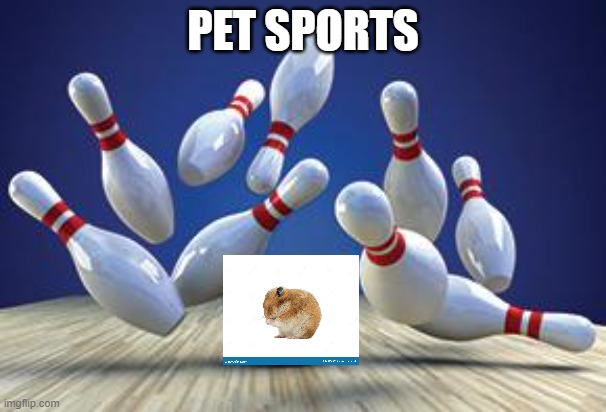 Pet sports | PET SPORTS | image tagged in bowling ball | made w/ Imgflip meme maker