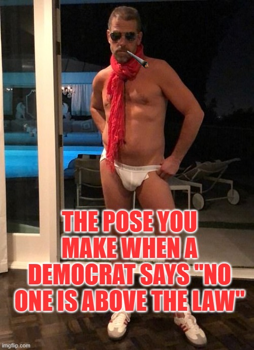 Are you sure about that? | THE POSE YOU MAKE WHEN A DEMOCRAT SAYS "NO ONE IS ABOVE THE LAW" | image tagged in hunter biden in his skivvies,hunter biden,crackhead,liberal logic | made w/ Imgflip meme maker