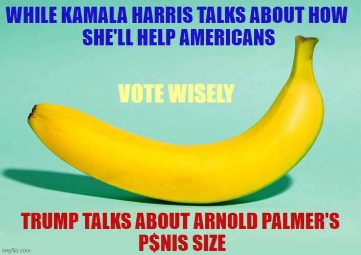 Latest presidential campaign news ... | WHILE KAMALA HARRIS TALKS ABOUT HOW
 SHE'LL HELP AMERICANS; VOTE WISELY; TRUMP TALKS ABOUT ARNOLD PALMER'S
 P$NIS SIZE | image tagged in donald trump,kamala harris,election 2024,vote | made w/ Imgflip meme maker