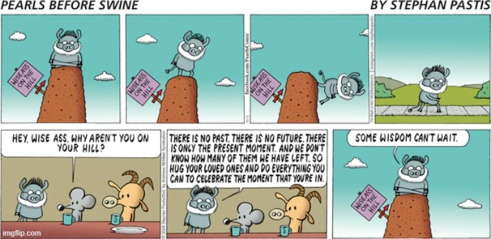 Pearls Before Swine | image tagged in comics | made w/ Imgflip meme maker