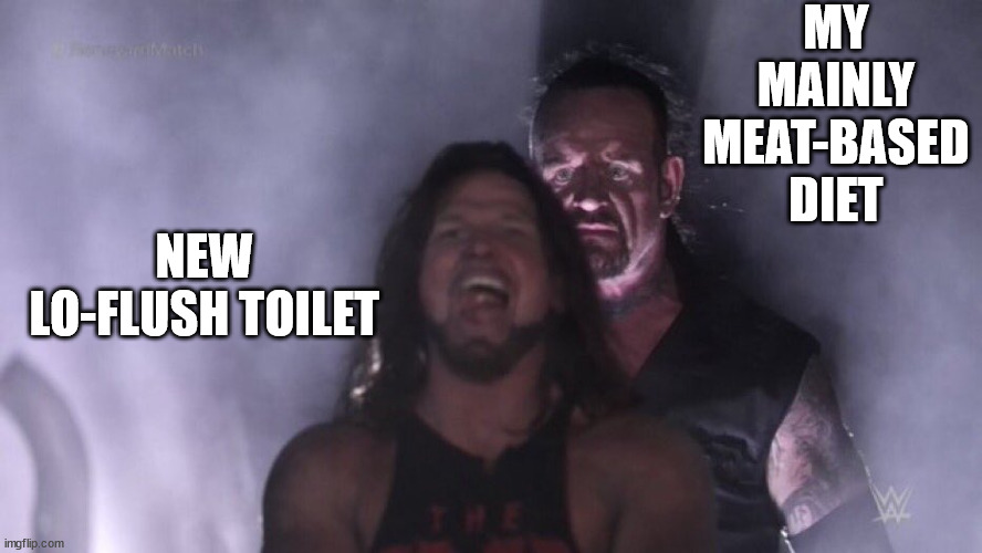 My meat-based diet with unsuspecting lo-flow toilet | MY MAINLY MEAT-BASED DIET; NEW LO-FLUSH TOILET | image tagged in aj styles undertaker,lo-flush toilet,meat,meat-based,diet | made w/ Imgflip meme maker