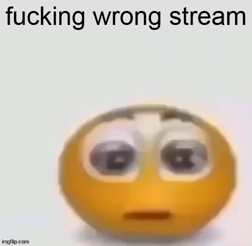 holy moly (straight face) | fucking wrong stream | image tagged in holy moly straight face | made w/ Imgflip meme maker
