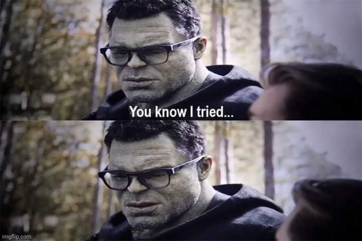 Hulk "You Know I Tried" | image tagged in hulk you know i tried | made w/ Imgflip meme maker