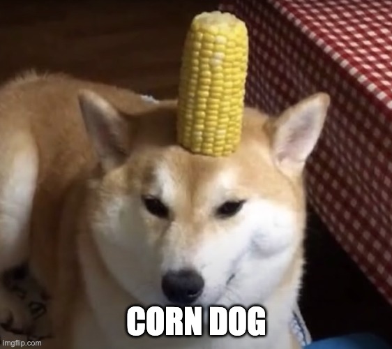 Corn Dog | CORN DOG | image tagged in bad pun dog | made w/ Imgflip meme maker