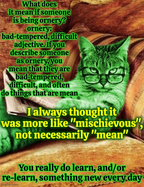 Well, If It's Not "Ornery" Then What's The Word For "Feelin Like Stirrin Stuff Up"? | What does it mean if someone is being ornery?
ornery: bad-tempered, difficult
adjective. If you describe someone as ornery, you mean that they are bad-tempered, difficult, and often do things that are mean; I always thought it was more like "mischievous", not necessarily "mean"; You really do learn, and/or re-learn, something new every day | image tagged in factual raycat,hmmm,words,you learn something new everyday,ornery,memes | made w/ Imgflip meme maker