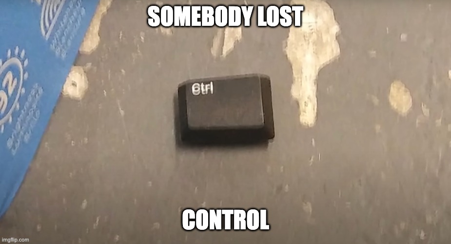 Losing Control Be Like... | SOMEBODY LOST; CONTROL | image tagged in tech support | made w/ Imgflip meme maker