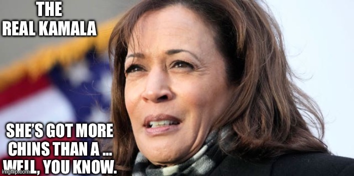 THE REAL KAMALA SHE’S GOT MORE CHINS THAN A …
WELL, YOU KNOW. | made w/ Imgflip meme maker