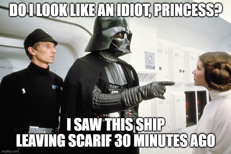 after Rogue One... | DO I LOOK LIKE AN IDIOT, PRINCESS? I SAW THIS SHIP LEAVING SCARIF 30 MINUTES AGO | image tagged in darth vader,princess leia | made w/ Imgflip meme maker