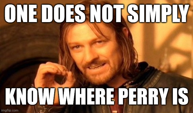 One does not simply know where Perry is | ONE DOES NOT SIMPLY; KNOW WHERE PERRY IS | image tagged in memes,one does not simply,perry the platypus,where's perry,phineas and ferb | made w/ Imgflip meme maker