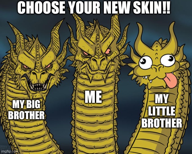 Choose u r skin! | CHOOSE YOUR NEW SKIN!! ME; MY LITTLE BROTHER; MY BIG BROTHER | image tagged in three-headed dragon | made w/ Imgflip meme maker