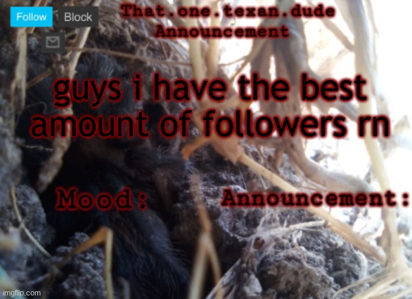 THE that.one.texan.dude announcement template | guys i have the best amount of followers rn | image tagged in the that one texan dude announcement template | made w/ Imgflip meme maker