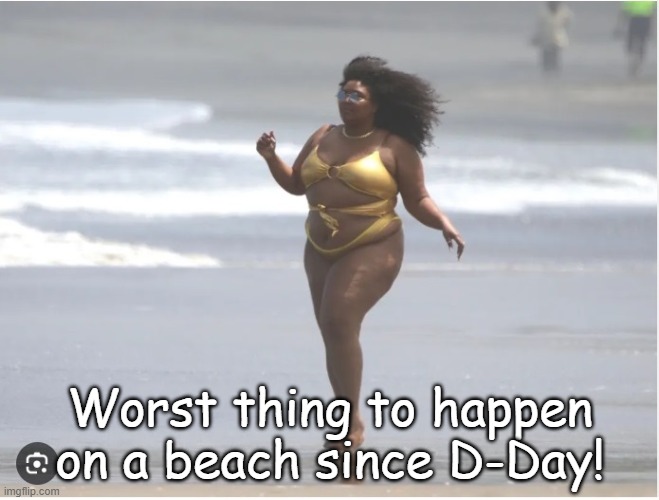 D-Day | Worst thing to happen on a beach since D-Day! | image tagged in beach body | made w/ Imgflip meme maker