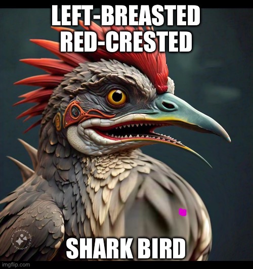 Left breasted red crested sharkbird | LEFT-BREASTED RED-CRESTED; SHARK BIRD | image tagged in breasts,boobs,big boobs,bouncing boobs,bouncing tits,big tits | made w/ Imgflip meme maker