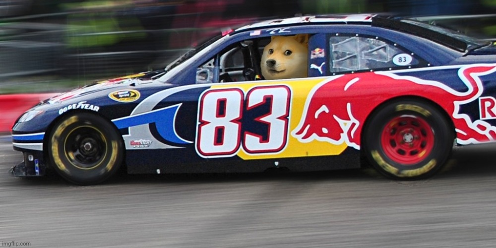 Upvote if you like racism :D | image tagged in race car doge | made w/ Imgflip meme maker