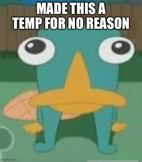 forward facing perry | MADE THIS A TEMP FOR NO REASON | image tagged in forward facing perry | made w/ Imgflip meme maker