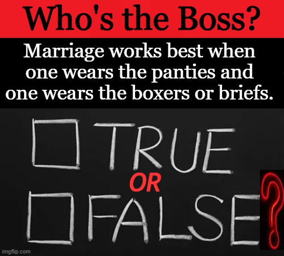 Who's the Boss? Marriage works best when 
one wears the panties and 
one wears the boxers or briefs. OR | image tagged in true or false,men and women,relationships,deep thought,good question,marriage | made w/ Imgflip meme maker