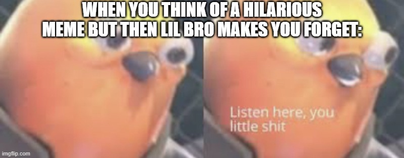 When lil bro makes you forget a hilarious meme. | WHEN YOU THINK OF A HILARIOUS MEME BUT THEN LIL BRO MAKES YOU FORGET: | image tagged in listen here you little shit bird | made w/ Imgflip meme maker