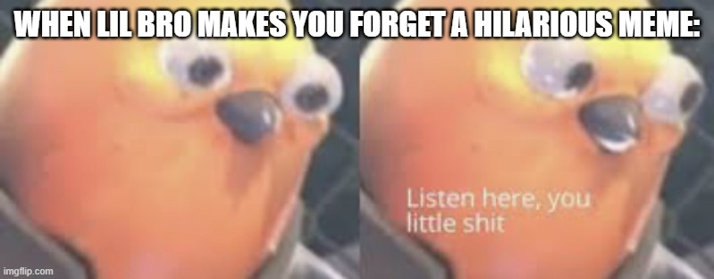 When lil bro makes you forget a hilarious meme. | WHEN LIL BRO MAKES YOU FORGET A HILARIOUS MEME: | image tagged in listen here you little shit bird | made w/ Imgflip meme maker