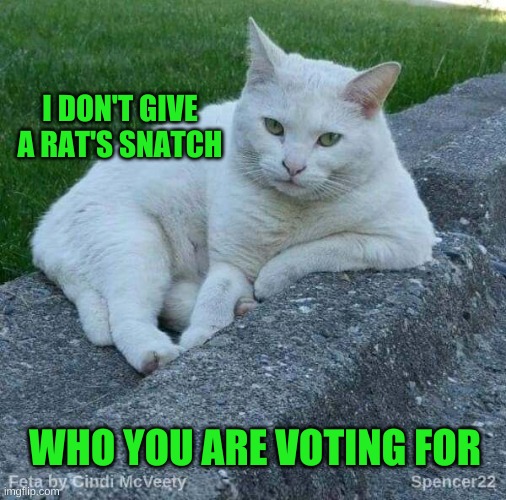 What are you doing to help humanity? | I DON'T GIVE A RAT'S SNATCH; WHO YOU ARE VOTING FOR | image tagged in feta,upvote if you agree,i don't always,i don't care,voting,voter fraud | made w/ Imgflip meme maker