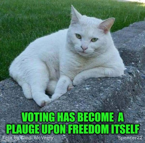 Feta | VOTING HAS BECOME  A PLAUGE UPON FREEDOM ITSELF | image tagged in feta,you've become the very thing you swore to destroy,voting,corruption,plauge,free speech | made w/ Imgflip meme maker