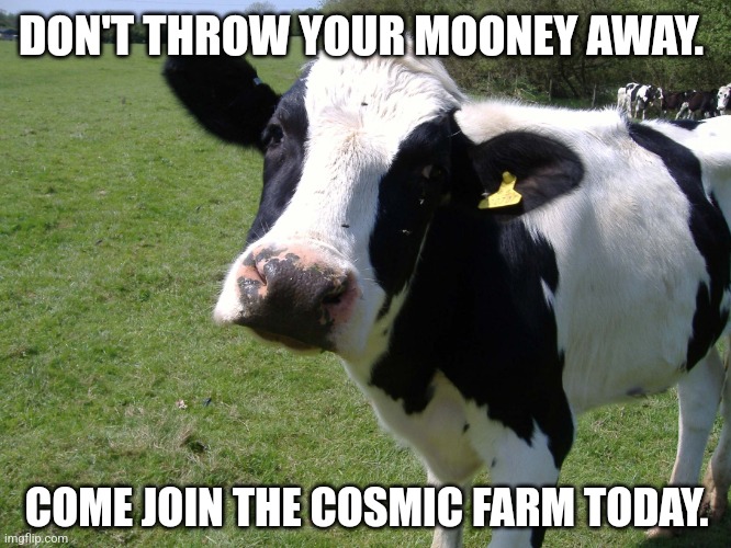 Da Curious Cow | DON'T THROW YOUR MOONEY AWAY. COME JOIN THE COSMIC FARM TODAY. | image tagged in da curious cow | made w/ Imgflip meme maker